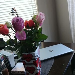 Meet your Posher, Mayra